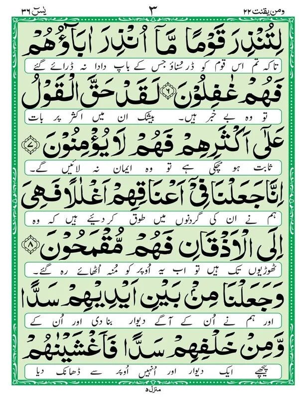 Surah Yaseen Mutarjim (Bold) - Offset Paper