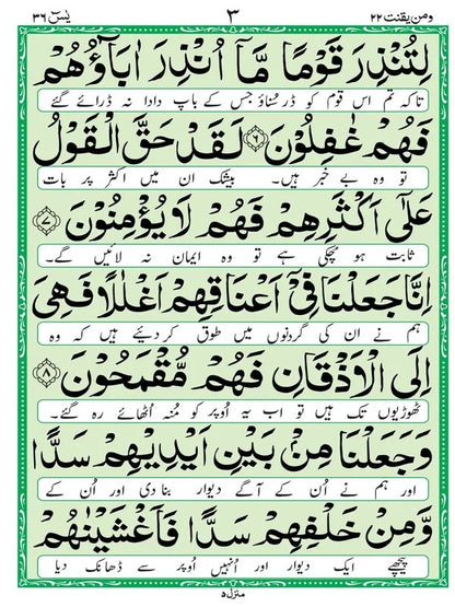 Surah Yaseen Mutarjim (Bold) - Offset Paper