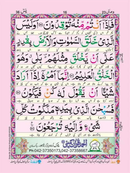 Surah Yaseen Mutarjim (Bold, Perfumed & Tajweedi) - Art Paper