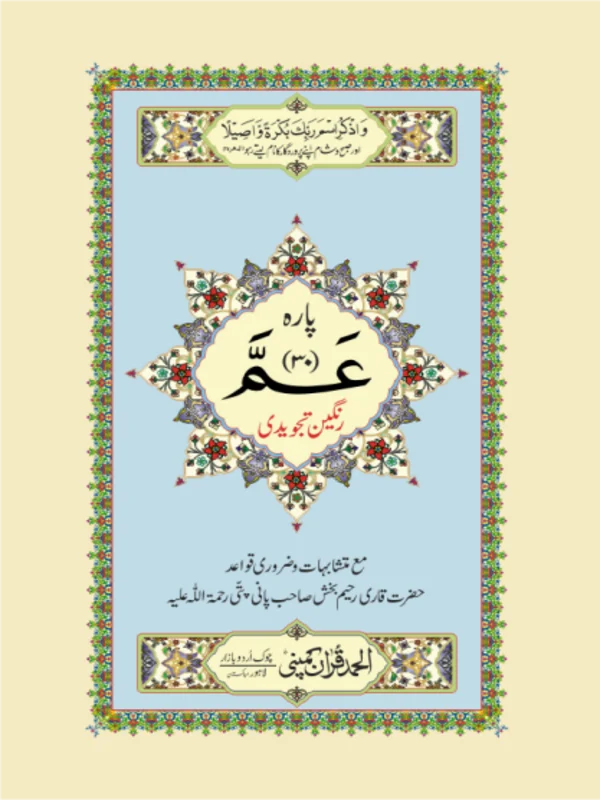 Para 30 Tajweedi Art Paper Pakistan