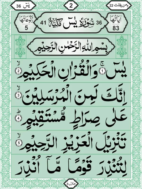Surah Yaseen (Extra Large Print) - Art Paper